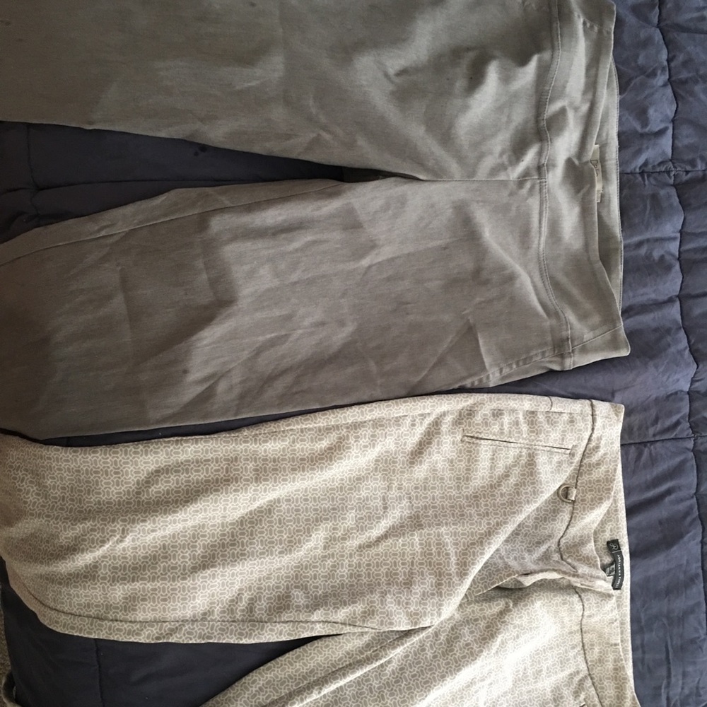 Dress pants